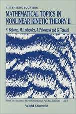 Mathematical Topics in Nonlinear Kinetic Theory II