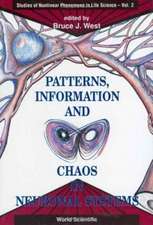 Patterns, Information and Chaos in Neuronal Systems