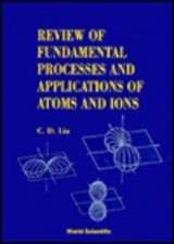 Fundamental Processes and Applications of Atoms and Ions, Review of