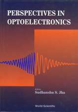 Perspectives in Optoelectronics