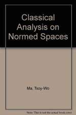 Classical Analysis on Normed Spaces