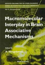 Macromolecular Interplay in Brain Associative Mechanisms