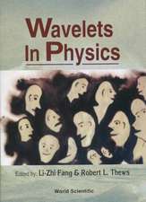 WAVELETS IN PHYS