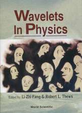 Wavelets in Physics