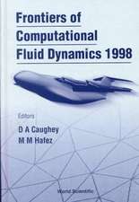 Frontiers of Computational Fluid Dynamic