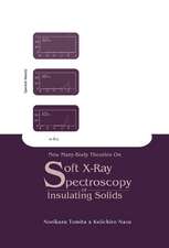 New Many-Body Theories on Soft X-Ray Spe