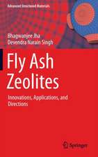 Fly Ash Zeolites: Innovations, Applications, and Directions