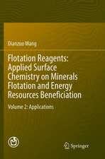 Flotation Reagents: Applied Surface Chemistry on Minerals Flotation and Energy Resources Beneficiation: Volume 2: Applications