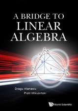 BRIDGE TO LINEAR ALGEBRA, A