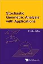 STOCHASTIC GEOMETRIC ANALYSIS WITH APPLICATIONS