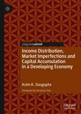 Income Distribution, Market Imperfections and Capital Accumulation in a Developing Economy