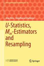 U-Statistics, Mm-Estimators and Resampling