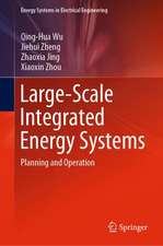 Large-Scale Integrated Energy Systems: Planning and Operation