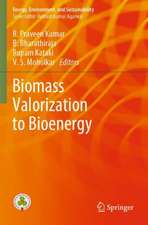 Biomass Valorization to Bioenergy