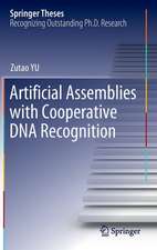 Artificial Assemblies with Cooperative DNA Recognition