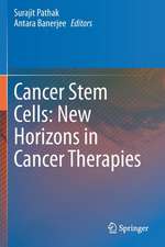 Cancer Stem Cells: New Horizons in Cancer Therapies