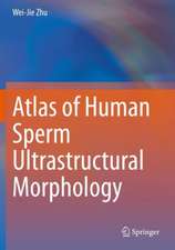 Atlas of Human Sperm Ultrastructural Morphology