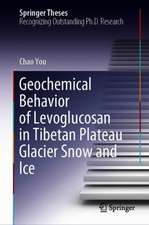 Geochemical Behavior of Levoglucosan in Tibetan Plateau Glacier Snow and Ice