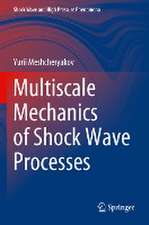 Multiscale Mechanics of Shock Wave Processes