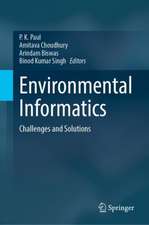 Environmental Informatics: Challenges and Solutions