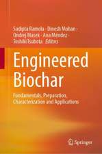 Engineered Biochar: Fundamentals, Preparation, Characterization and Applications