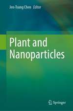 Plant and Nanoparticles