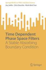 Time Dependent Phase Space Filters