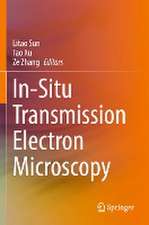 In-Situ Transmission Electron Microscopy