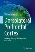 Dorsolateral Prefrontal Cortex: Working Memory and Executive Functions