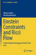 Einstein Constraints and Ricci Flow: A Geometrical Averaging of Initial Data Sets