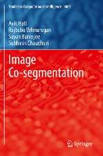 Image Co-segmentation