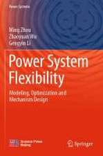 Power System Flexibility