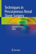 Techniques in Percutaneous Renal Stone Surgery