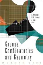 Groups, Combinatorics and Geometry