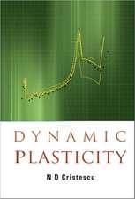 Dynamic Plasticity