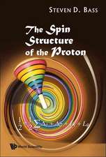 The Spin Structure of the Proton