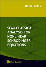 Semi-Classical Analysis for Nonlinear Schrodinger Equations