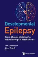 DEVELOPMENTAL EPILEPSY