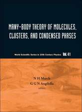 Many-Body Theory of Molecules, Clusters, and Condensed Phases