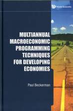 Multiannual Macroeconomic Programming Techniques for Developing Economies