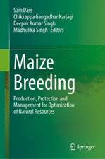 Maize Breeding