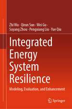Integrated Energy System Resilience