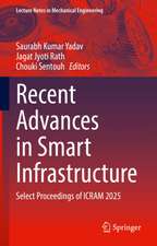 Recent Advances in Smart Infrastructure