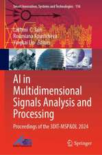 AI in Multidimensional Signals Analysis and Processing