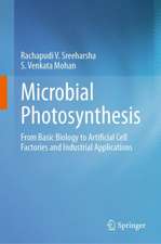 Microbial Photosynthesis