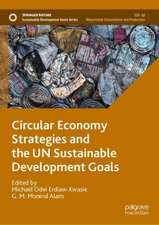 Circular Economy Strategies and the UN Sustainable Development Goals