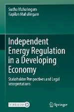 Independent Energy Regulation in a Developing Economy