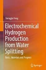 Electrochemical Hydrogen Production from Water Splitting