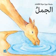 Camel