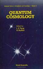 QUANTUM COSMOLOGY (V3)